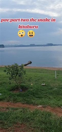 POV: Part Two — The Snake in Kituburu