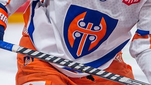 A Finnish Hockey Team's Mascot Is Getting Accused Of Injuring Player