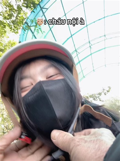 Câu Chuyện Gia Đình Vui Nhộn Với Ông Nội