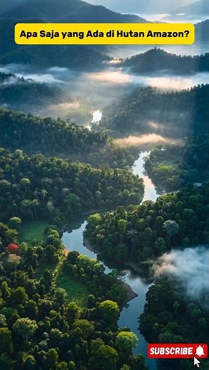 What's in the Amazon Rainforest?