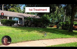 4 comments | Weeds taking over your lawn? Most companies only tackle...