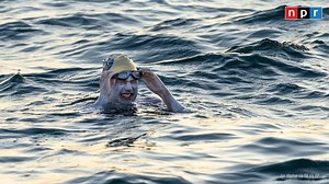 118K views · 2.3K reactions | American endurance swimmer Sarah Thomas has become the first person to cross the English Chanel four times in a row without stopping. The 37-year-old cancer survivor completed the swim in about 54 hours.  Read more: https://trib.al/bSdPZ2K | NPR | Facebook