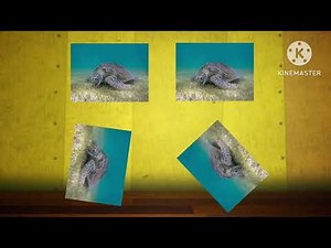 Number Time Ep 03 (Real Version 3D)