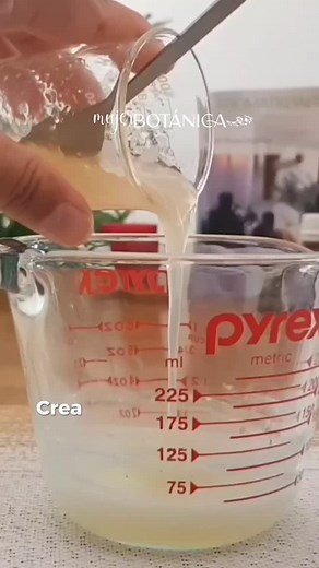 3K views · 10K reactions |  Comenta la palabra “CURSO” y te enviamos toda la información de nuestro programa para que empieces hoy mismo a crear tu línea de shampoos naturales  No te olvides de seguirnos  @mujer.botanica para que te llegue nuestro mensaje  #shamposnaturales #shampoonatural #shampoolibredesulfato #champunatural #champusolido #champucebolla | Mujer botánica | Facebook