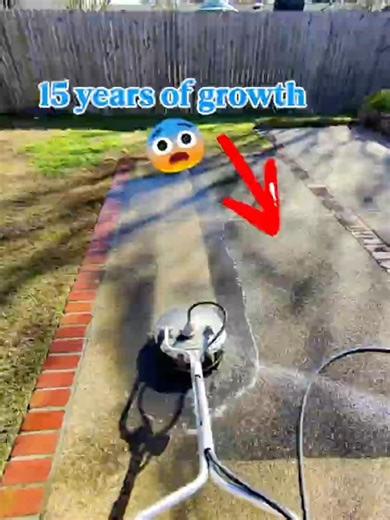 Pool deck pressure washing and softwash 💦 #pressurewashing #cleaning