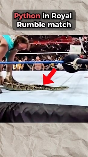 Mazin Marwan on Instagram: "Royal Rumble mein real python 😱🐍 Jake “The Snake” Roberts ne jab ring ke andar snake release kiya, toh har wrestler darr ke ring se bhaag gaya! WWE history ka sabse scary aur weird moment 😨🔥 Kya tum is moment ko yaad karte ho? 👀👇 #wwe #royalrumble #jakethesnakeroberts #wwemoments#scarymoment (wrestlingreels wrestlingfacts wwereels wwehistory viralreels wrestlingfans prowrestling snake attitudeera wrestlingtalks)"