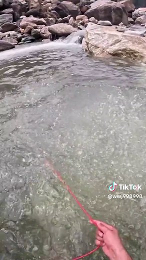 riverfishing #castnetfishinginthesea #fishing #castnetfishing #riverfishing