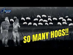 First Time Thermal Hog Hunt | Bering Optics
