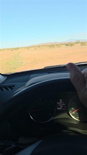 my last day of Quail hunting for the season.