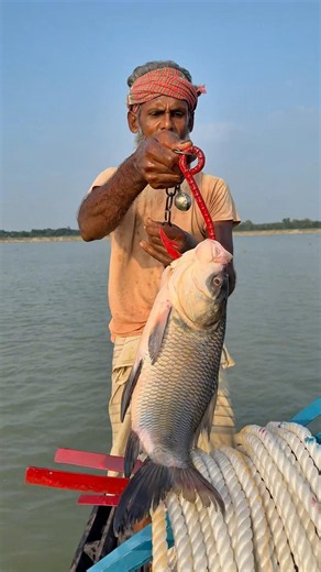Shark catching technique by hook from boat #fishinglife #riverfishing
