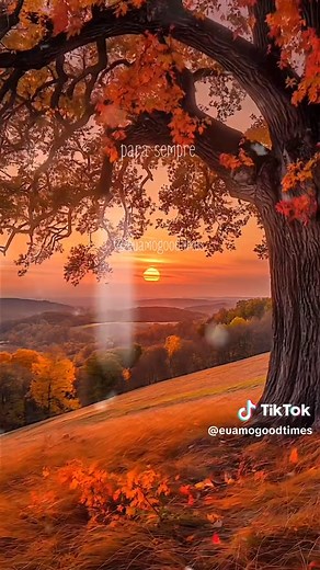 Lionel Richie 'Lady' Lyrics and Meaning Explained