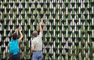 気候変動に植林で立ち向かう。オランダ発スタートアップ「Land life company」の挑戦 | 世界のソーシャルグッドなアイデアマガジン | IDEAS FOR GOOD