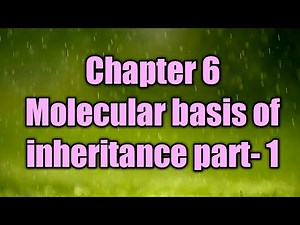NCERT class- 12th, subject- biology, chapter- 6 Molecular basis of inheritance part- 1