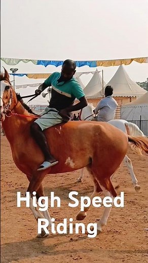 High-Speed Horse Riding | Thrilling Gallop Like Never Before!