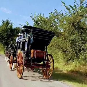 22K views · 1K reactions | Let’s go for a drive  | Express Clydesdales | Facebook