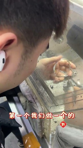 Sparkling Silver Bracelet: Crafted Elegance from Dalian's Jewelry Experts