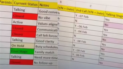 Viral: शादी पर पड़ा कॉर्पोरेट जॉब का असर! जोड़ी परफेक्ट बनाने के लिए डाटा एनालिस्ट ने किया ये काम