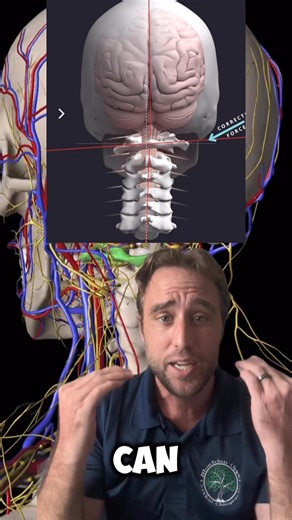 Dizziness, Head Pressure, and Vagus nerve symtoms can be coming from your upper neck. Comment help for a doctor near you! #dizziness #vagusnerve #fyp | Montclair Upper Cervical Chiropractic