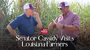 With the expiration of the 2018 Farm Bill, Louisiana farmers and ranchers are left without a vital safety net. U.S. Senator Bill Cassidy recently spent some time on the farm and visiting with Louisiana Farm Bureau members to see the challenges facing agriculture firsthand. Cassidy shared his commitment to advocating for a new Farm Bill and additional support through the FARM Act. | This Week In Louisiana Agriculture | Facebook