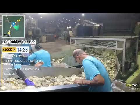 Rubber Processing in a Factory