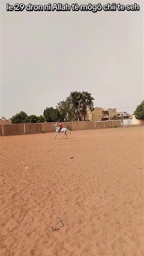 @Écurie 🐦‍🔥 LABAN DEN