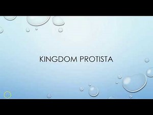 What is a Protist? (Protists 1/3)