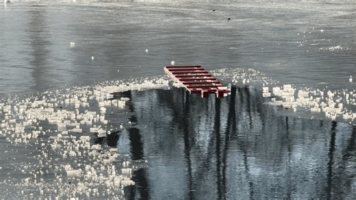 NYC teen rescues child from freezing pond in Queens: FDNY