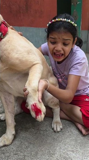 Kritika Dog Lover ❤️#kritikachannel#Shorts#dog#love#viral#trending#ytshorts