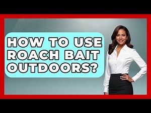 How To Use Roach Bait Outdoors? - Insects and Invaders