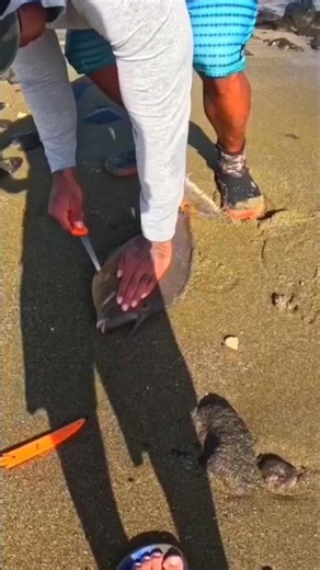 Catching fish Hawaiian style #survivaltraditional #bigisland