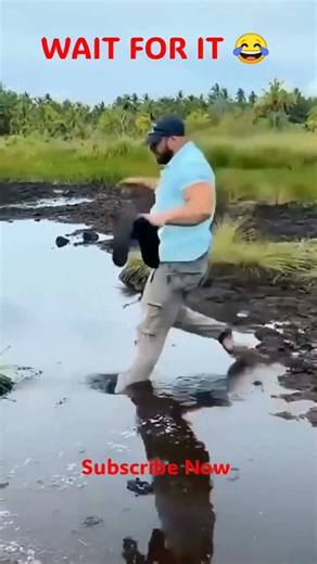 Wait For It… 😂 #funny #highlights #comedy #fails