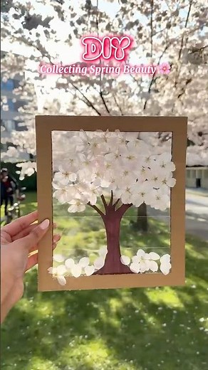 DIY Sticky Blossom Tree! 🌸🌳 | Nature Dropped, I Created