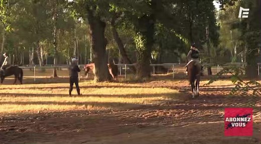 Un partant dans l’Arc de Triomphe dimanche pour le Haras de Hus. Grand Glory jument de 6 ans issue de l’élevage du Haras de Bourgeauville. Acquise par l’ancien propriétaire de Silvana contre la somme de 2 500 000 euros en décembre 2021. Elle est fille de Olympic Glory et sa mère Madonnaa Lily par Daylami. Son frère, Bois d’Argent est un bon gagnant pour l’écurie du footballeur Clément lenglet . L’homme d’affaire, Xavier Marie a décidé d’investir dans une collection de poulinière pur-sang . C’est