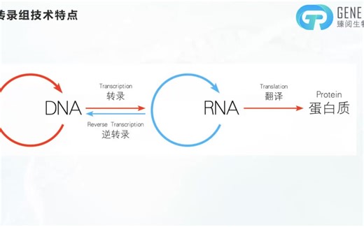 第一期：转录组学结果解析和目的基因挖掘