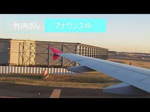【旧 着陸編】現在のPeach 竹内 幹さん 元バニラエア MM532 成田空港 機内アナウンス