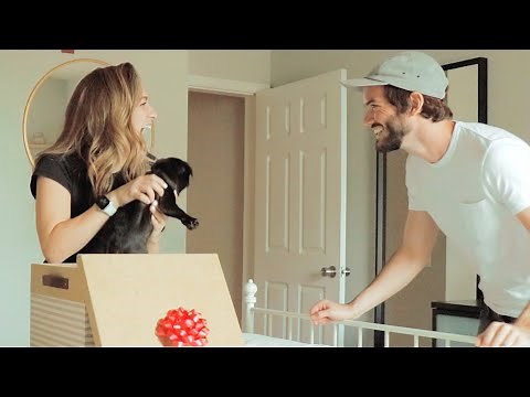 I surprised my wife with a puppy!