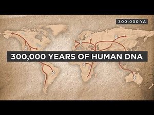 The Entire History of Human DNA — 300,000 Years in One Video