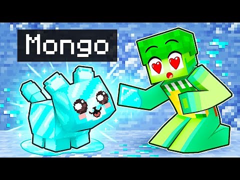 Playing Minecraft as a HELPFUL Diamond Kitten!
