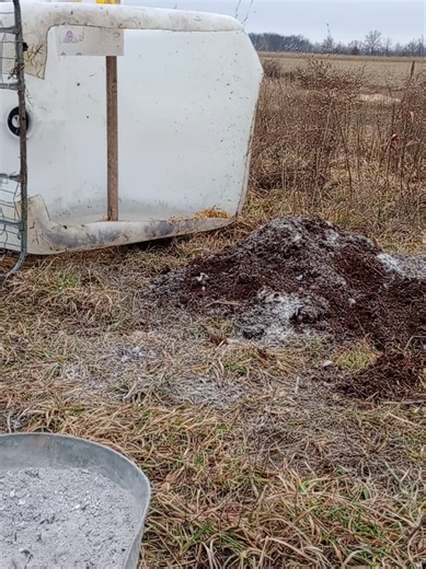 Innovative IBC TOTE Chicken Pens with Composting System