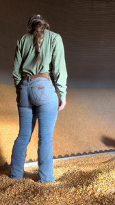 Corn storage #corn #cornplanting #farming | Daisy Brown