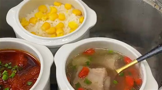 【天际（TONZE）电炖锅推荐】天际电炖锅隔水电炖多功能养生炖锅，2.5L大容量智能预约，不锈钢内胆安全耐用