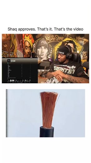 rahulyadav | Explaining Everythinng | No Life Shaq turned into a huge fan after hearing Octane! The energy in this reaction video is just contagious. | Instagram