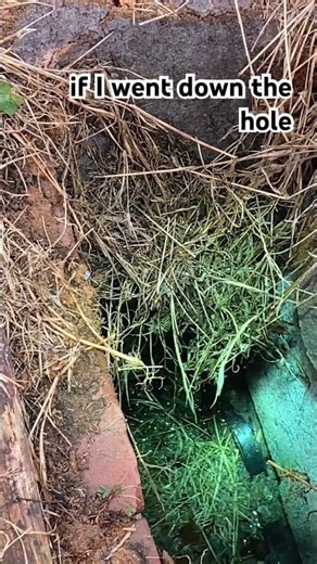 This Is a Huge Septic Safety Hazard