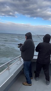 314K views · 1.3K reactions | Jumbo stripers and many keepers!!! We have spots available Monday 11/17 Tuesday 11/18 Wednesday 11/19 and Thursday 11/20 next week on our open boat 6:00am-12:00pm. Call 609-827-1232 to reserve a spot. | Down Deep Sportfishing | Facebook