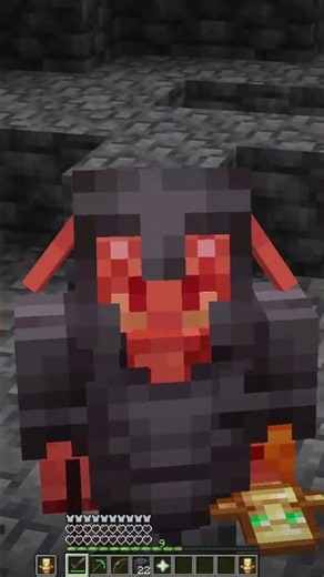 I KILL THE WITHER BUT I AM A PIGLIN BRUTE! #minecraft #wither #skidlat #piglinbrute #piglin #piglins