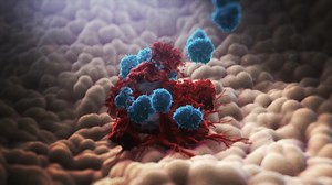 How the Immune System Fights Cancer