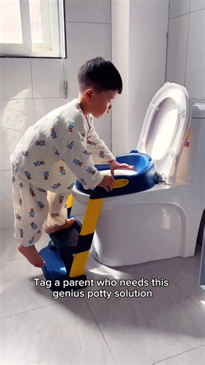 Easy Potty Training with Step-Stool Potty Seat