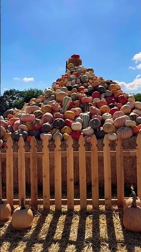 Fall season farm fun #pumpkinpatchfarm #music #halloween #october