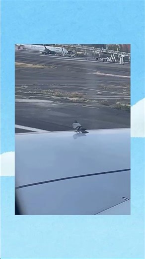 From chillin to FLYING 🐦‍⬛🤣