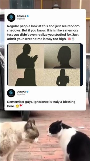 The ultimate internet search history honesty test 🔍💀